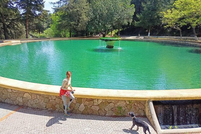 Hiking in the Forest & Stunning Italian Ghost Town of Rhodes! - Final Thoughts: Who Is This Tour Best For?  