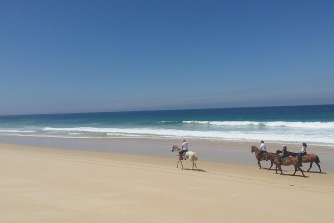 Horse Riding on the Beach Tour - Practical Considerations