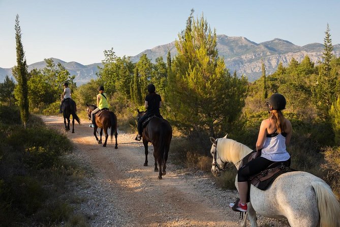 Horseback Riding in Konavle Region with Transport from Dubrovnik - FAQs