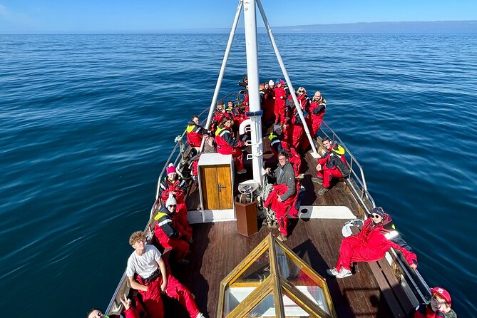 Húsavík Whale Watching Tour, family owned and operated - Authentic and Personal Experience