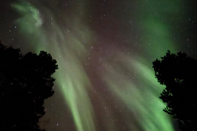 Husky Sled Ride Northern Lights Tour from Kiruna - Who Will Love This Tour?