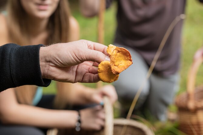 It Smells Like Mushrooms - Authentic Experiences and Unique Insights