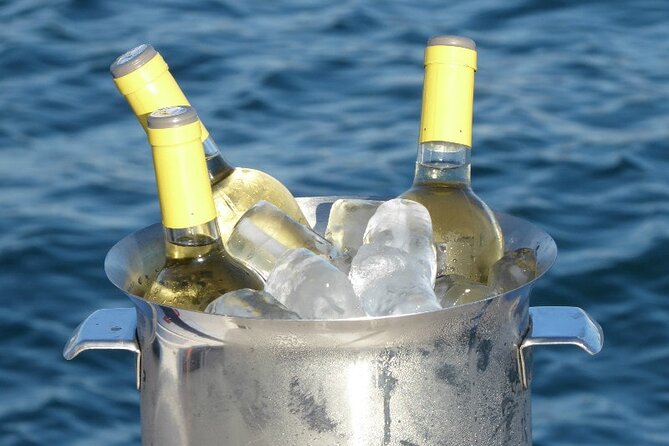 Jazz and Chill Out Cruise in Barcelona - Who Would Love This Experience?