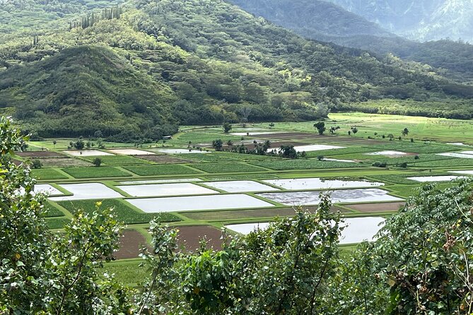 Kauai Island Private Guided Movie Tour from Lihue - The Sum Up: Is This Tour Worth It?