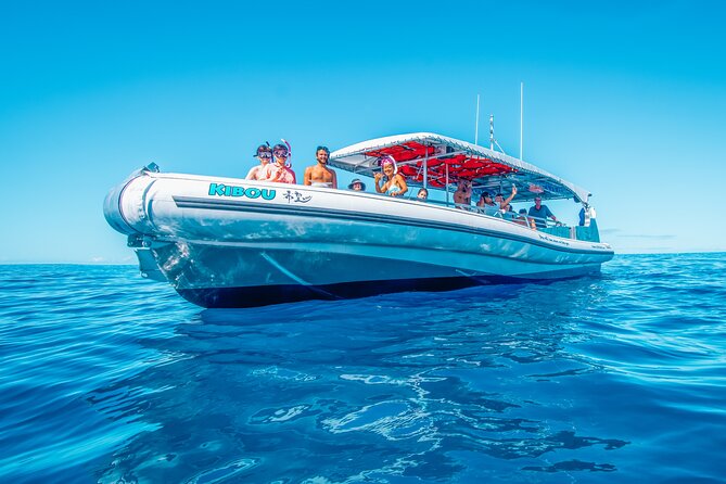 Kealakekua Bay Snorkel & Dolphin Watch In Kona - FAQs
