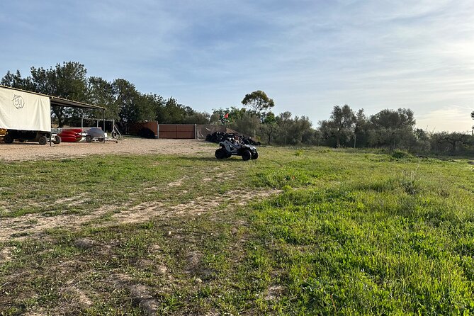 Kids Buggy Experience in Salou - Who Will Love This?  