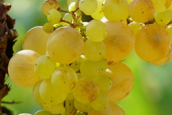 Korula for Wine Lovers - Poip and Grk Wines Private Tour - Final Thoughts