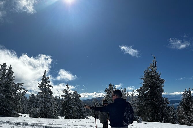 Lake Tahoe Snowshoe Rental Packages - Who Is This Tour Best For?