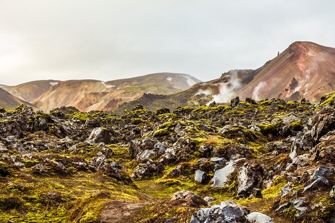 Landmannalaugar & Icelandic Highlands Super Jeep Tour - Who Should Consider This Tour?
