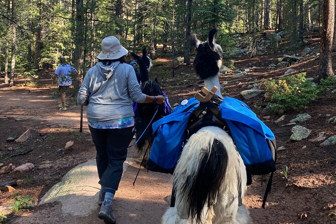 Llama to Lunch in the Rocky Mountains - FAQs