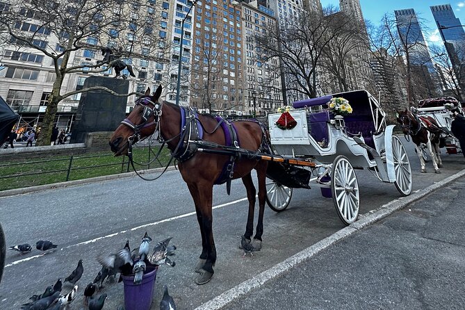 Luxury Horse and Carriage Tours in Central Park - The Sum Up: Who Should Consider This?