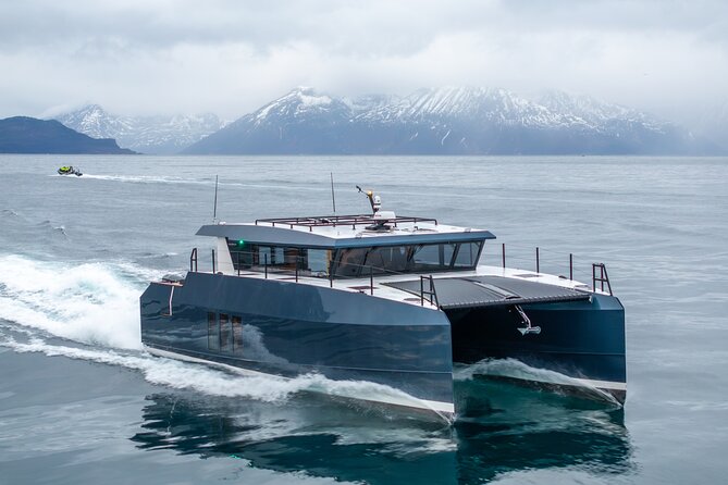 Luxury Whale Watching From Tromso - Small group and local guide - FAQ