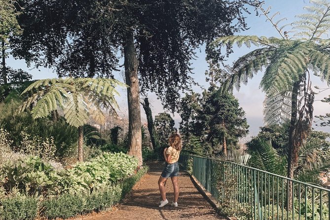 Madeira : An wonderful West Tour from Funchal (Pickup included) - Who is This Tour Perfect For?