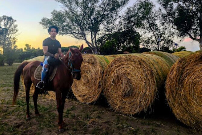 Middle day out of Rome on Horseback with meals included - Who Should Consider This Tour?