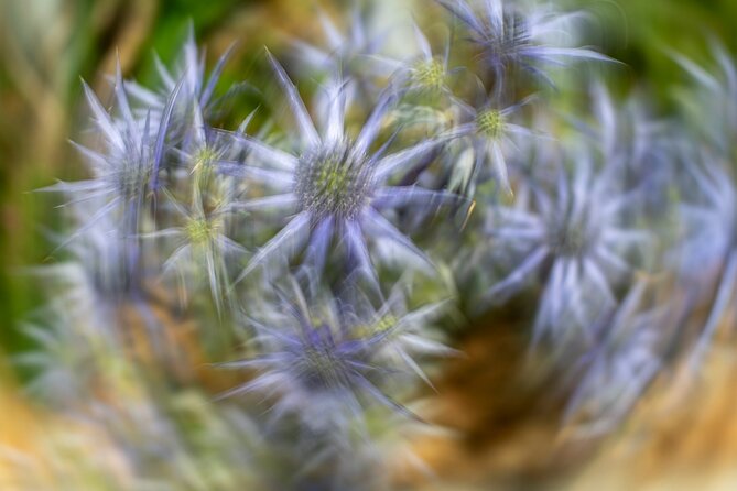 Mindful Photo Walk at Princess Pavilion & Gyllyngdune Gardens - Final Thoughts