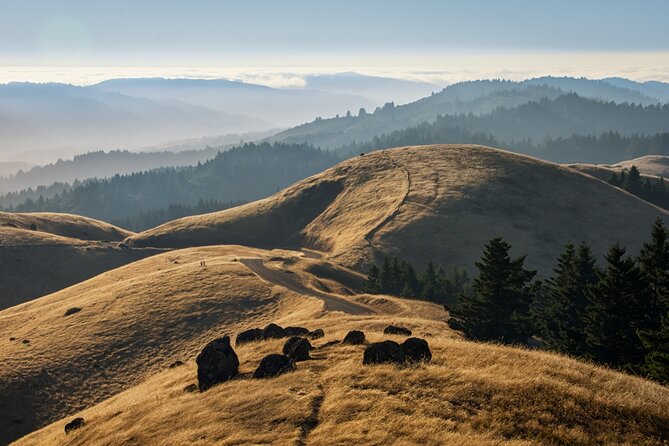 Muir Woods Self-Guided Driving and Walking Audio Tour - Who Is This Tour Best For?