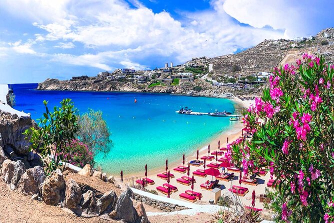 Mykonos Tour from Cruise Port including Little Venice & Windmills - The Sum Up