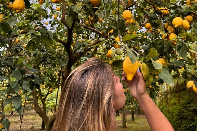 Nonno Mario Sorrento Lemon tour - How the Tour Fits into Your Sorrento Trip