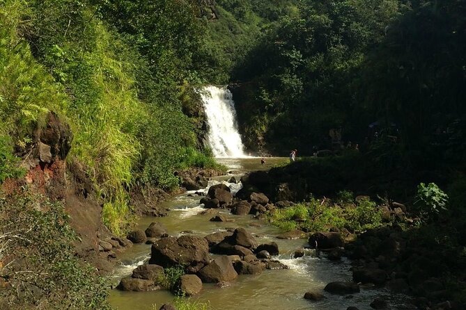 North Shore day,Waterfalls and Turtles Tour - Practical Details and Tips for Travelers