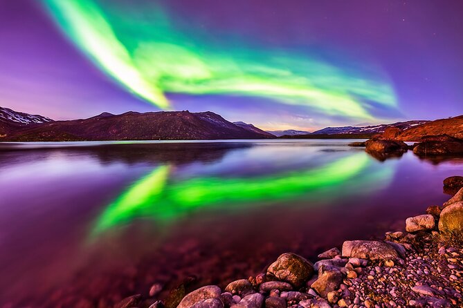 Northern light hunt in Tromsø. WiFi included - The Genuine Value of This Tour