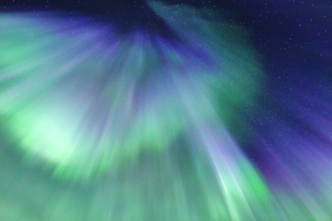 Northern Lights Big Bus Chase with Free Photos - The Group Size and Atmosphere