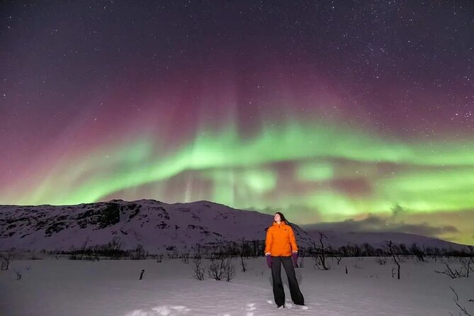 Northern Lights Chase by Minibus - FAQs