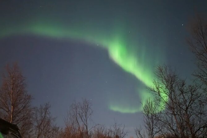 Northern Lights Minibus Chase Max 16 Person In Group - Final Thoughts: Is It Worth It?