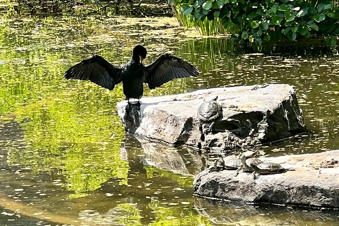 NYC Beginner Private Birdwatching Tour - FAQs