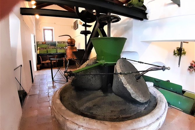 Ojen private walking tour by Tours in Malaga - Authenticity & Local Stories  