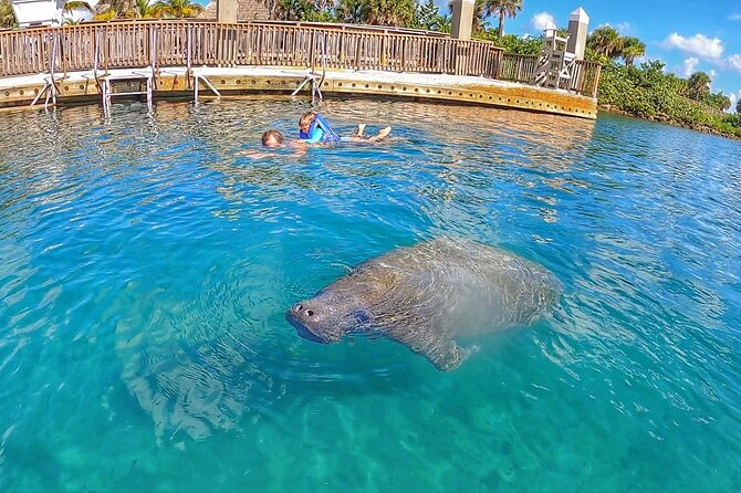 Paddle Boarding Activity to Peanut Island - Final Thoughts: Who Will Love This Experience?
