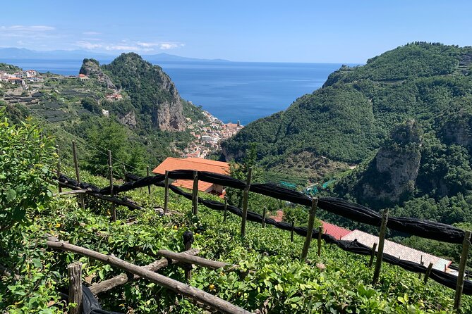 Papermills Valley including Ravello and Amalfi - FAQs
