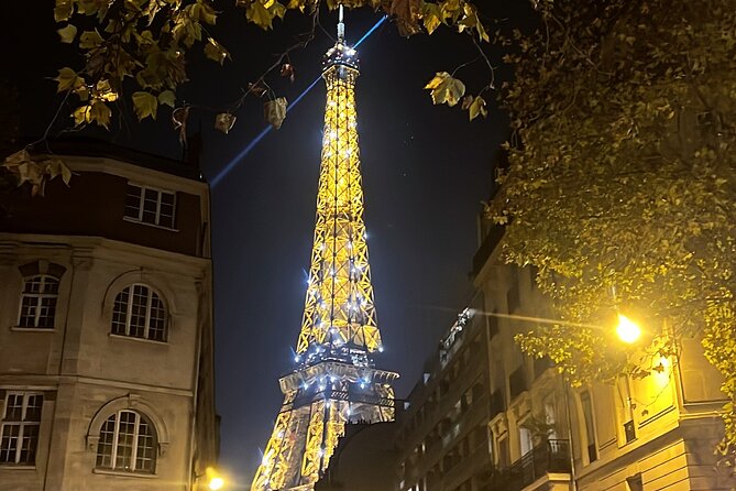 Paris Pink Tour by Night with Champagne - Who Will Love This Tour?