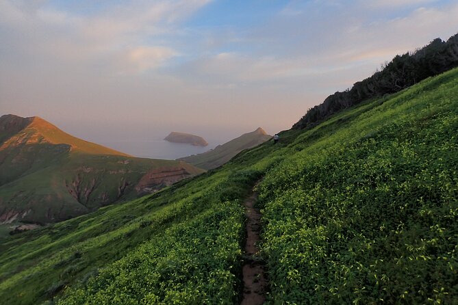 Pico do Facho Panoramic Trail - Final Thoughts: Is the Pico do Facho Trail Worth It?