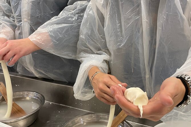 Pisa Small Group Cheese Making & tasting experience (max 6people) - Final Thoughts