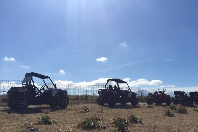 Polaris Buggy 4-Hour Safari from Rethymno Town - Final Thoughts: Is It Worth It?