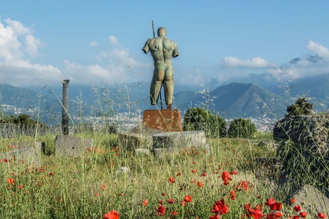Pompeii & Naples Tour from Rome by Train, Includes Lunch - Who Is This Tour Best For?