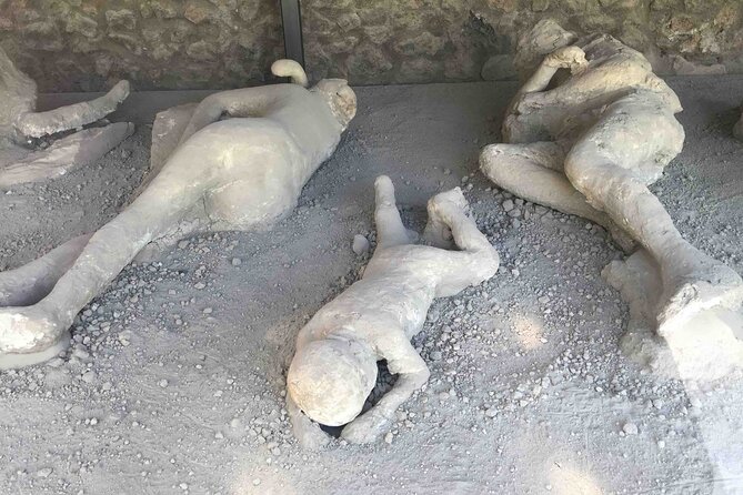 Pompeii Private Guided Half-Day Tour with transfer from Positano - Final Thoughts