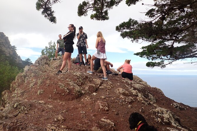 Porto Santo - Terra Chã Hiking Tour - Why It Represents Good Value