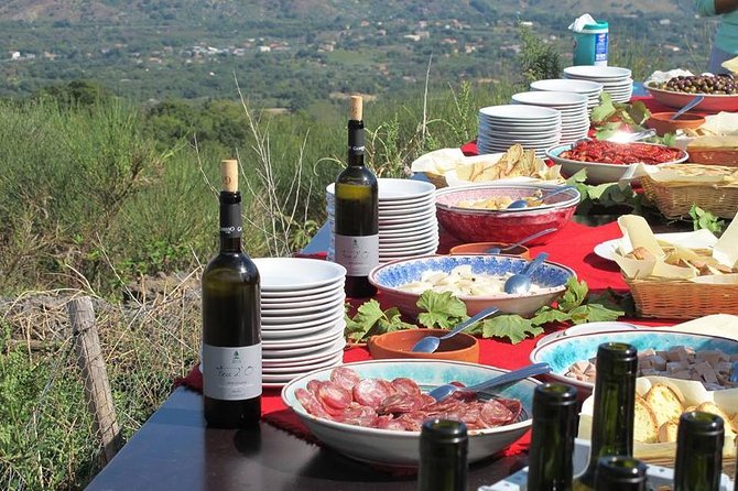 Private 6-Hour Tour of Three Etna Wineries with food&wine tasting - The Review Highlights