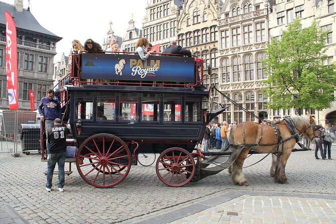 Private Arrival Transfer from Brussels Airport or city to Antwerp with Business car - Pricing and Value