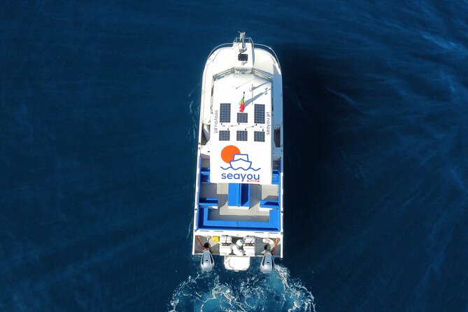 Private Cruise to Calheta and Caniçal Coasts - Final Thoughts