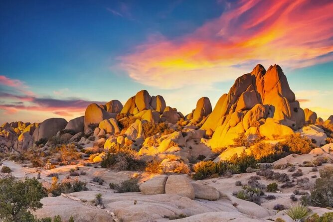 Private Day Tour to Joshua Tree National Park from San Diego - Frequently Asked Questions