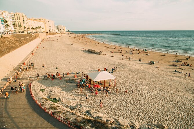 Private Day Trip to Jerez and Cádiz from Seville - Who Should Consider This Tour?