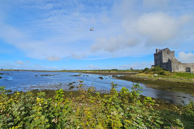 Private Day Trip to the Cliffs of Moher from Dublin - Who Should Consider This Tour?