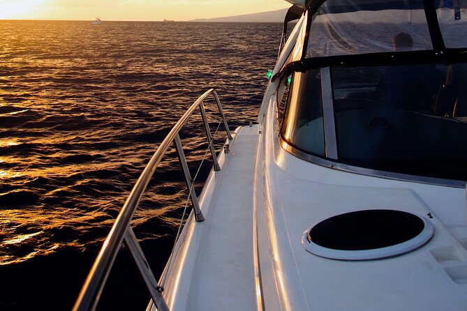Private Evening Cruise - The Fireworks Finale