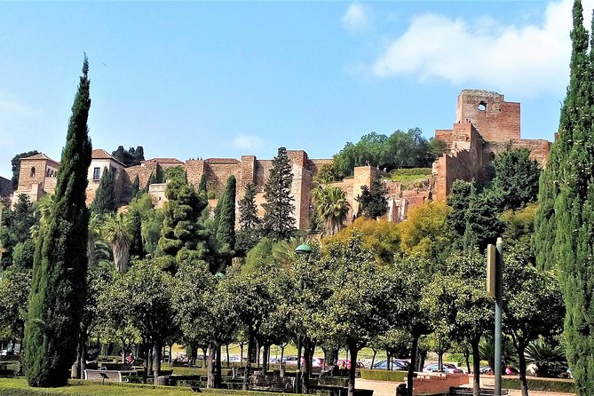 Private full day tour in Malaga from Costa del sol - Why This Tour Could Be Perfect for You