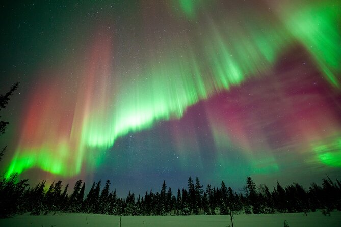 Private Group: Northern Lights Hunt 4x4 SUV with Aurora guarantee - Included and Not Included: What You Get