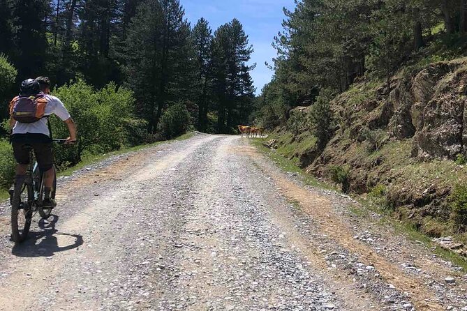 Private Guided E-Biking Tour on Mount Olympus - Why This Tour Is a Great Pick