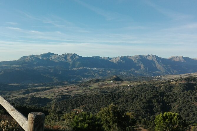 Private half-day tour of Ronda and the White Villages with native - Authenticity and Personal Touches  