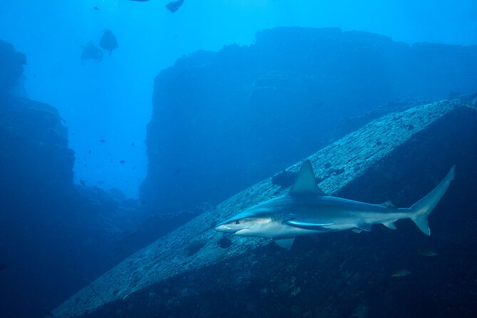 Private Niihau Scuba Charter with 2 or 3 Tank Dive Option - Final thoughts